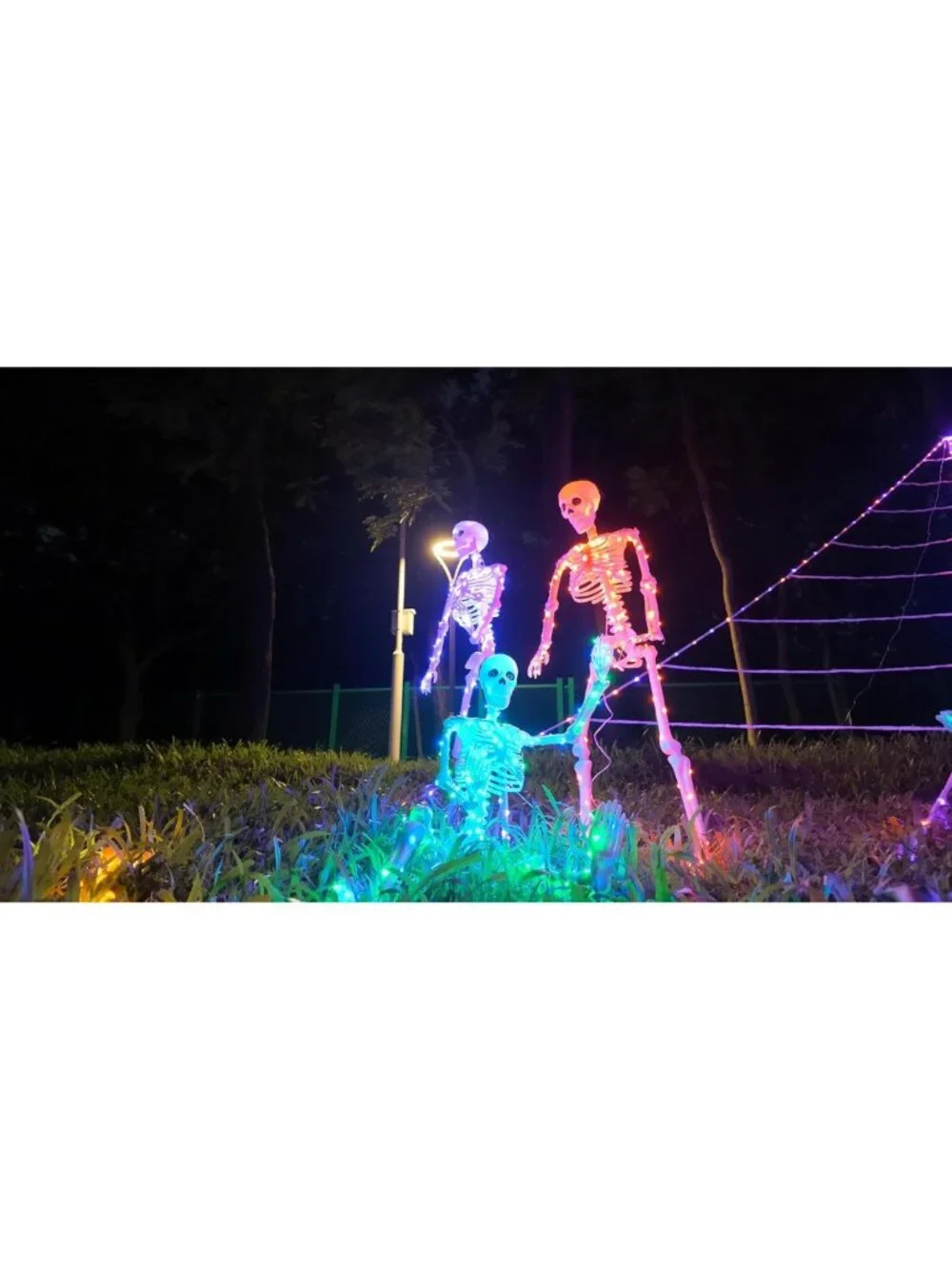 Lighted Skeletons 3FT - 2 Pack Halloween Decor, Realistic Skulls & 350pcs Lights